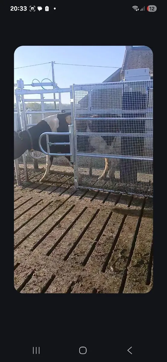 Alfco Drafting Gates - Image 4