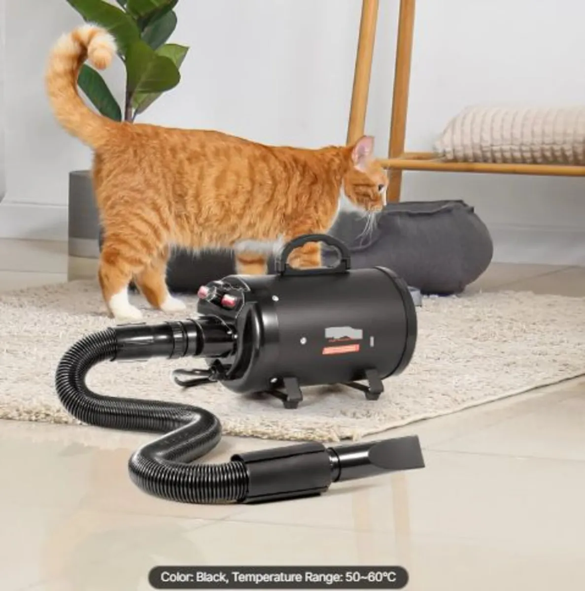 Dog Dryer,2000W/2.7HP Dog Blow Dryer,Pet Grooming - Image 4