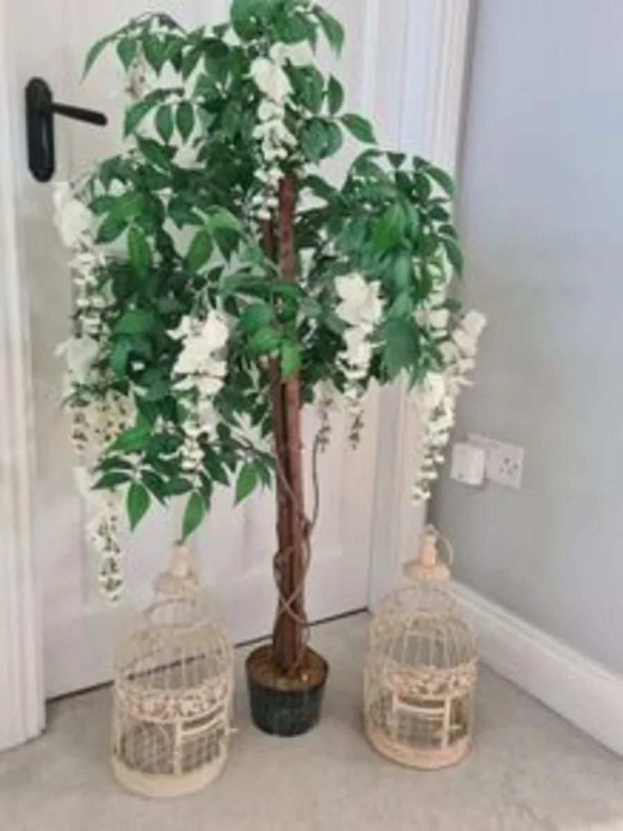 Trees and Birdcages Set to Rent