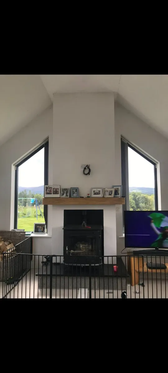 Baby Dan fire gaurd / room divider - Image 1