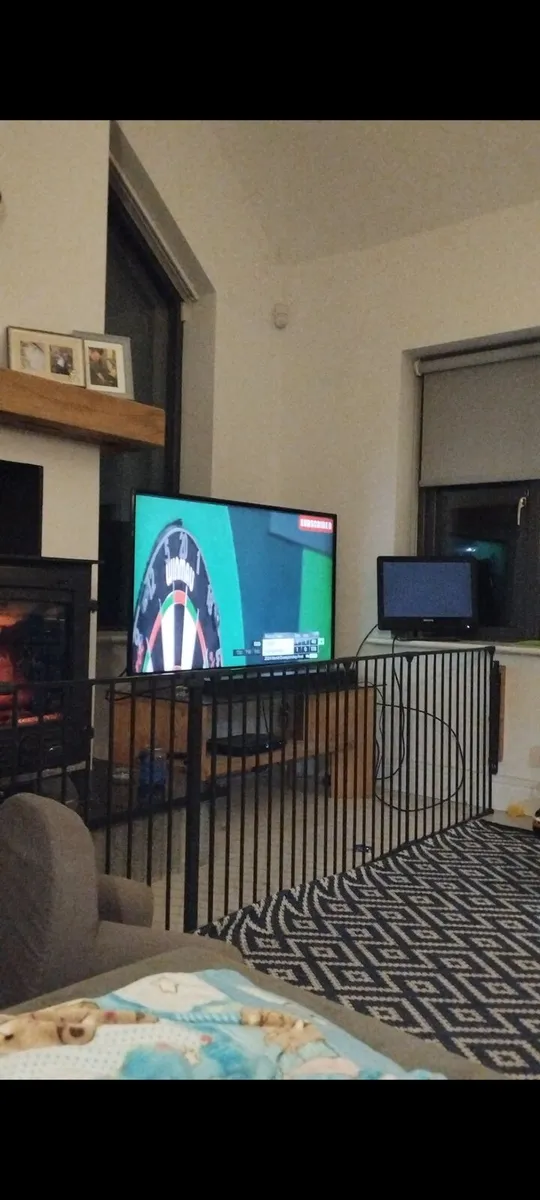 Baby Dan fire gaurd / room divider - Image 3