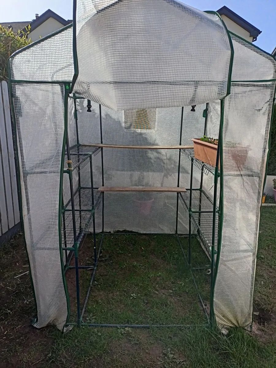 Green house - Image 3