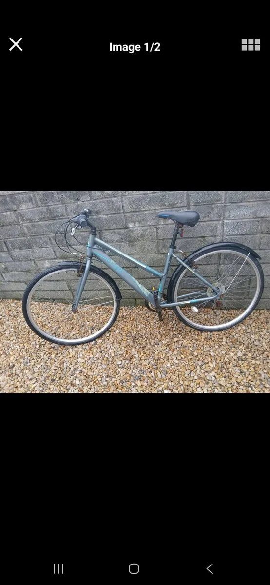 ADULTS BIKE - Image 2