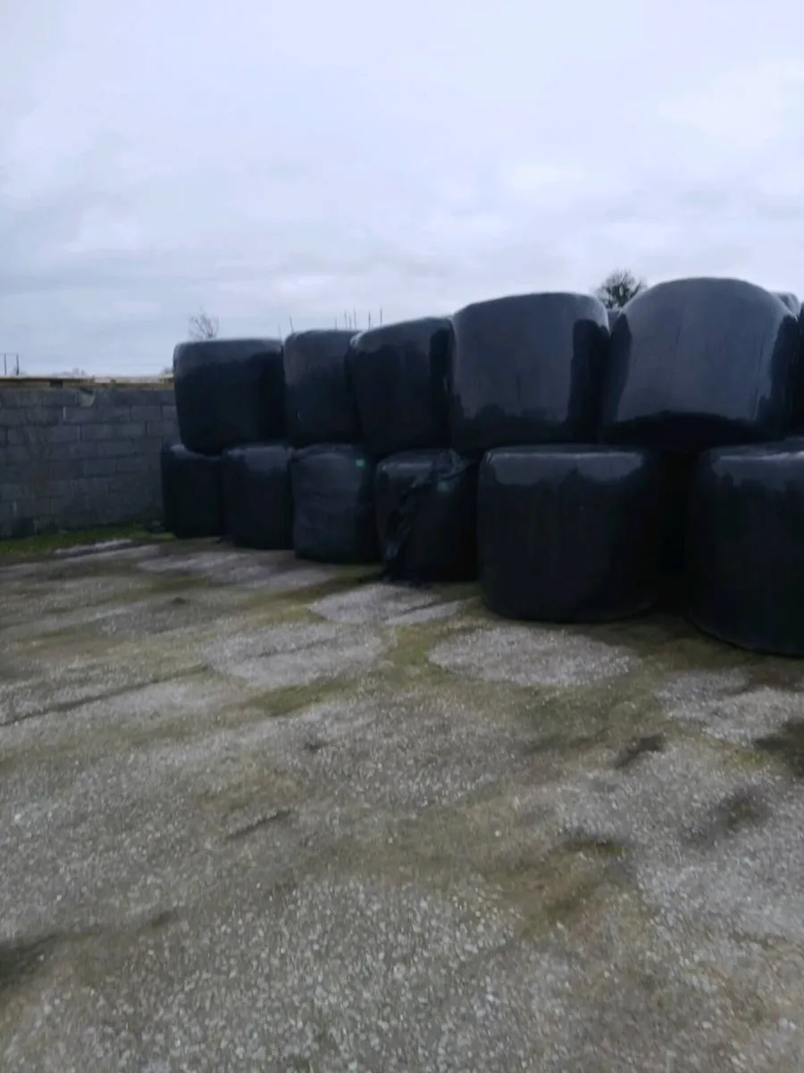 Silage bales - Image 1