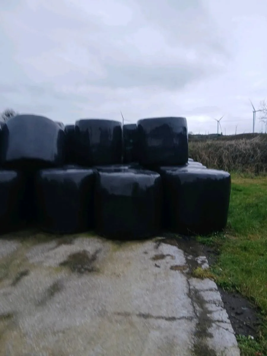 Silage bales - Image 2