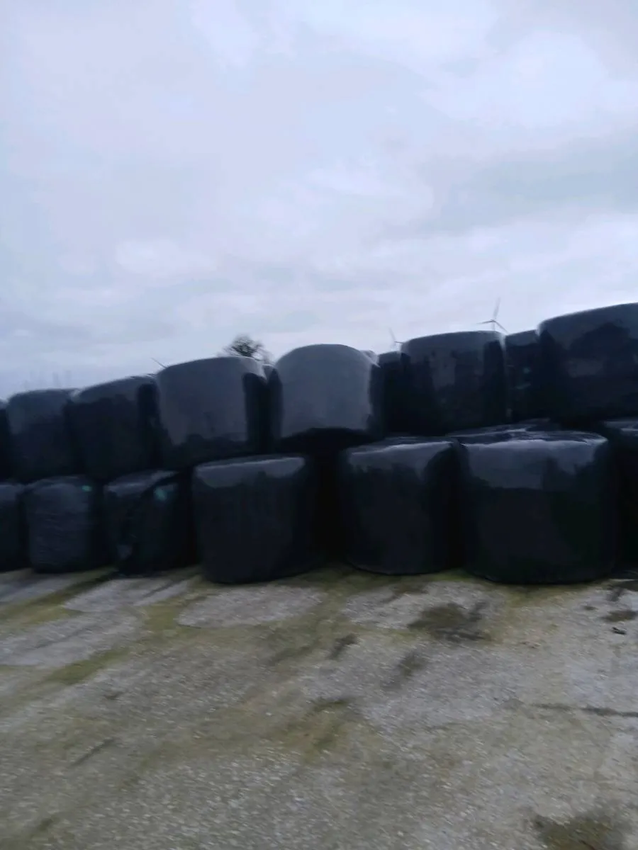 Silage bales - Image 4