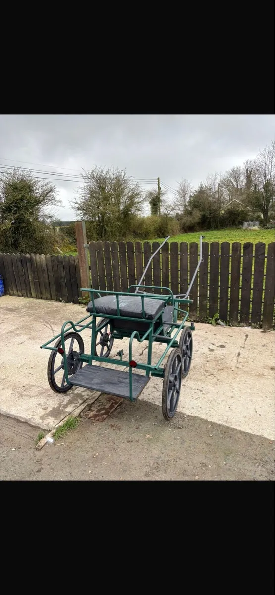 Pony carriage - Image 1