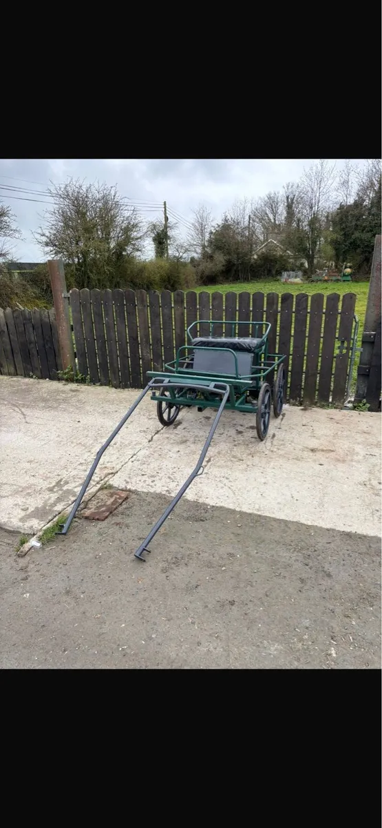 Pony carriage - Image 3