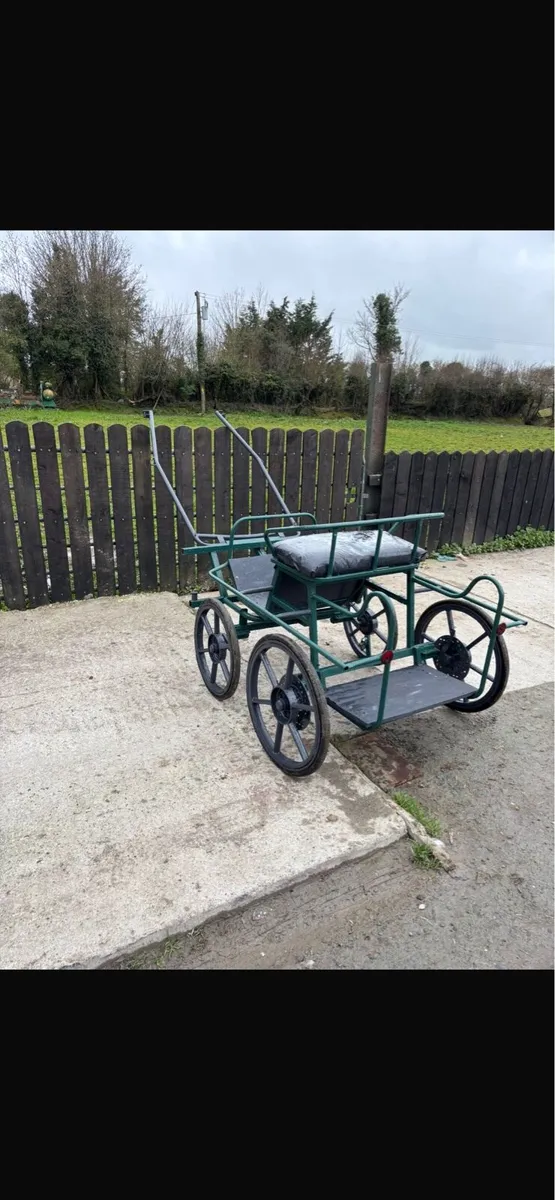 Pony carriage - Image 2