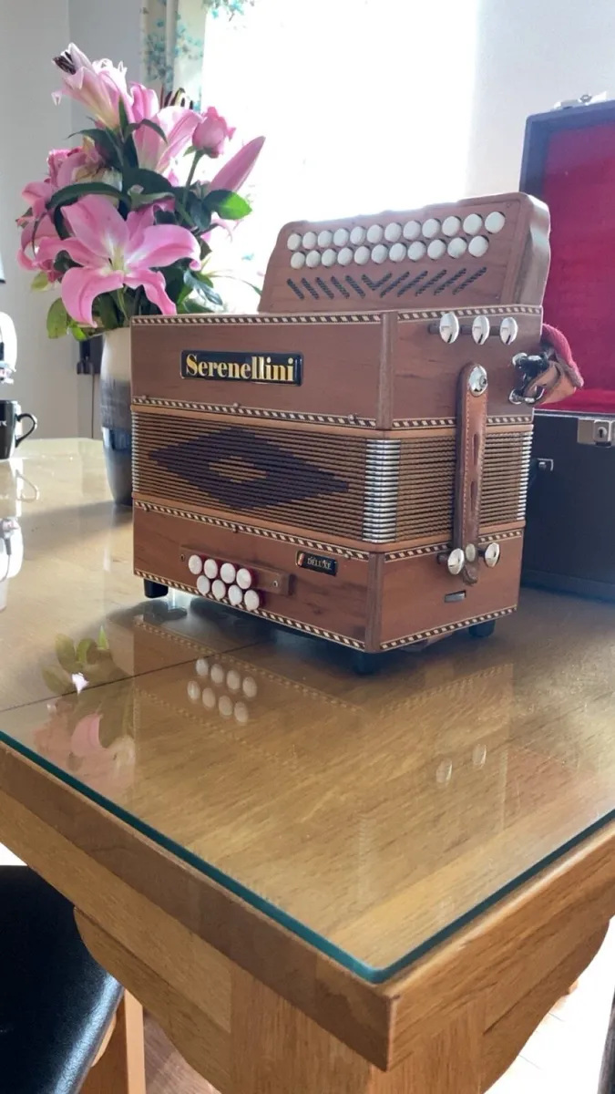Serenellini button accordion - Image 4