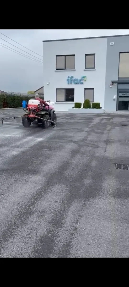 Contract Cleaning - Moss Removal - Image 2