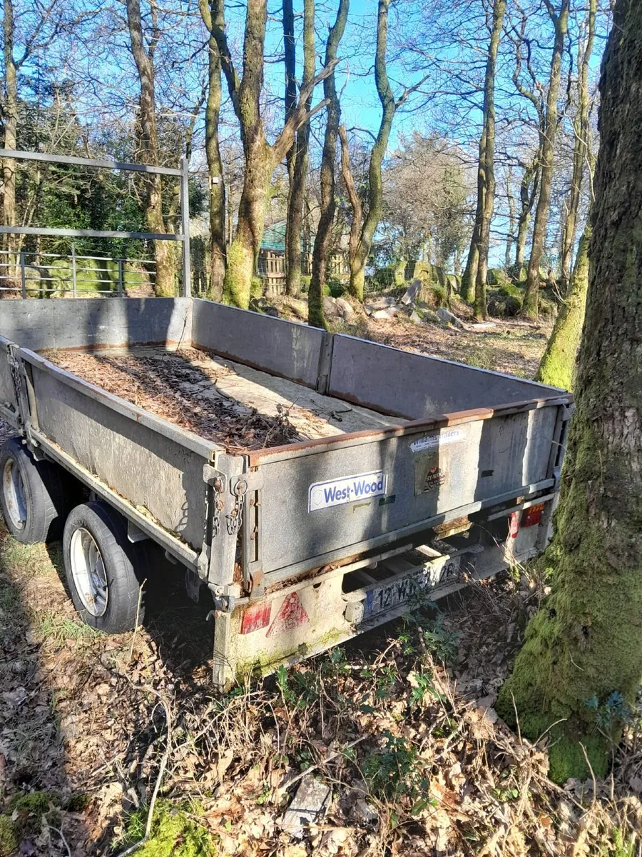 Trailer ifor williams - Image 2