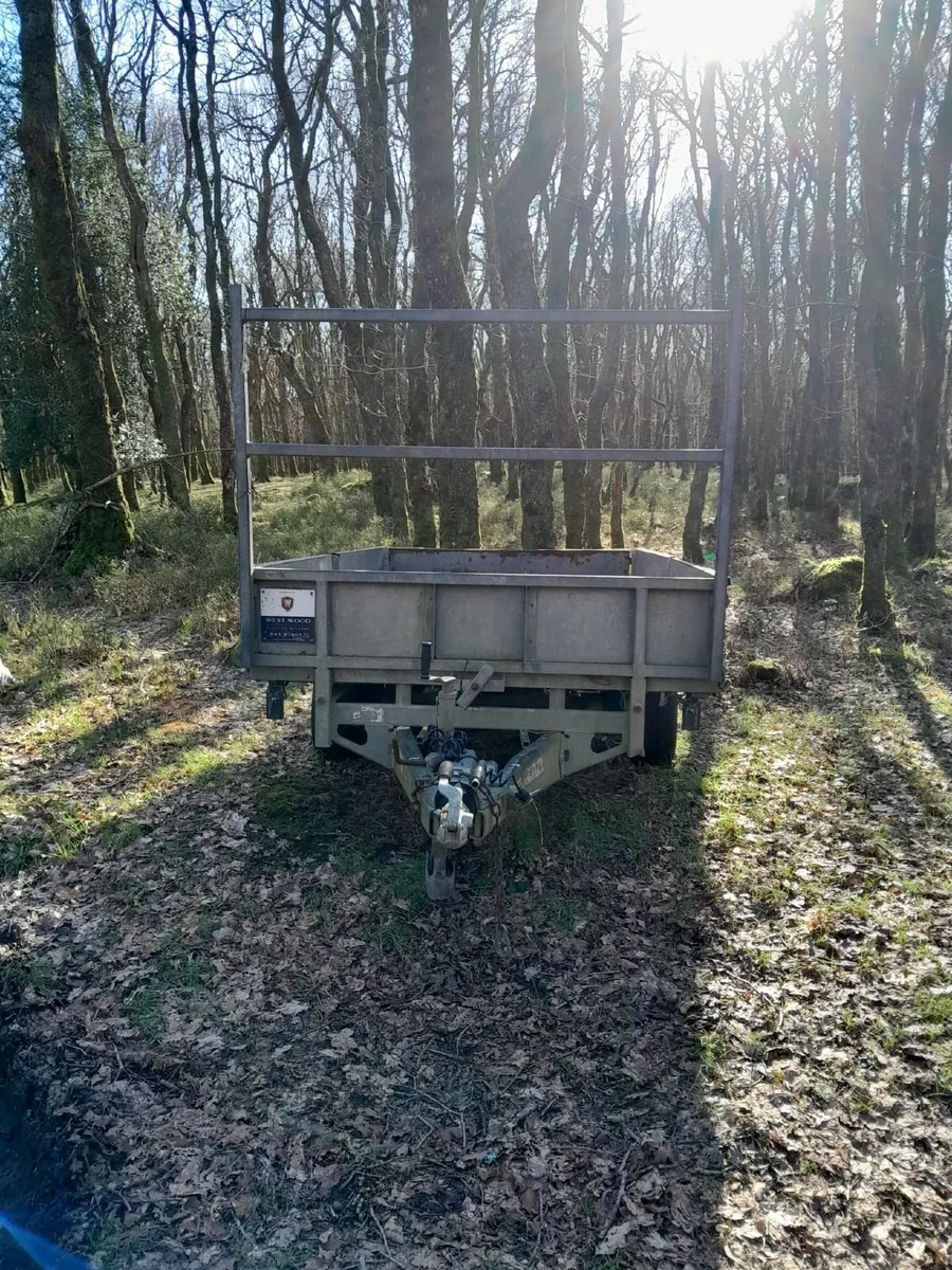 Trailer ifor williams - Image 3