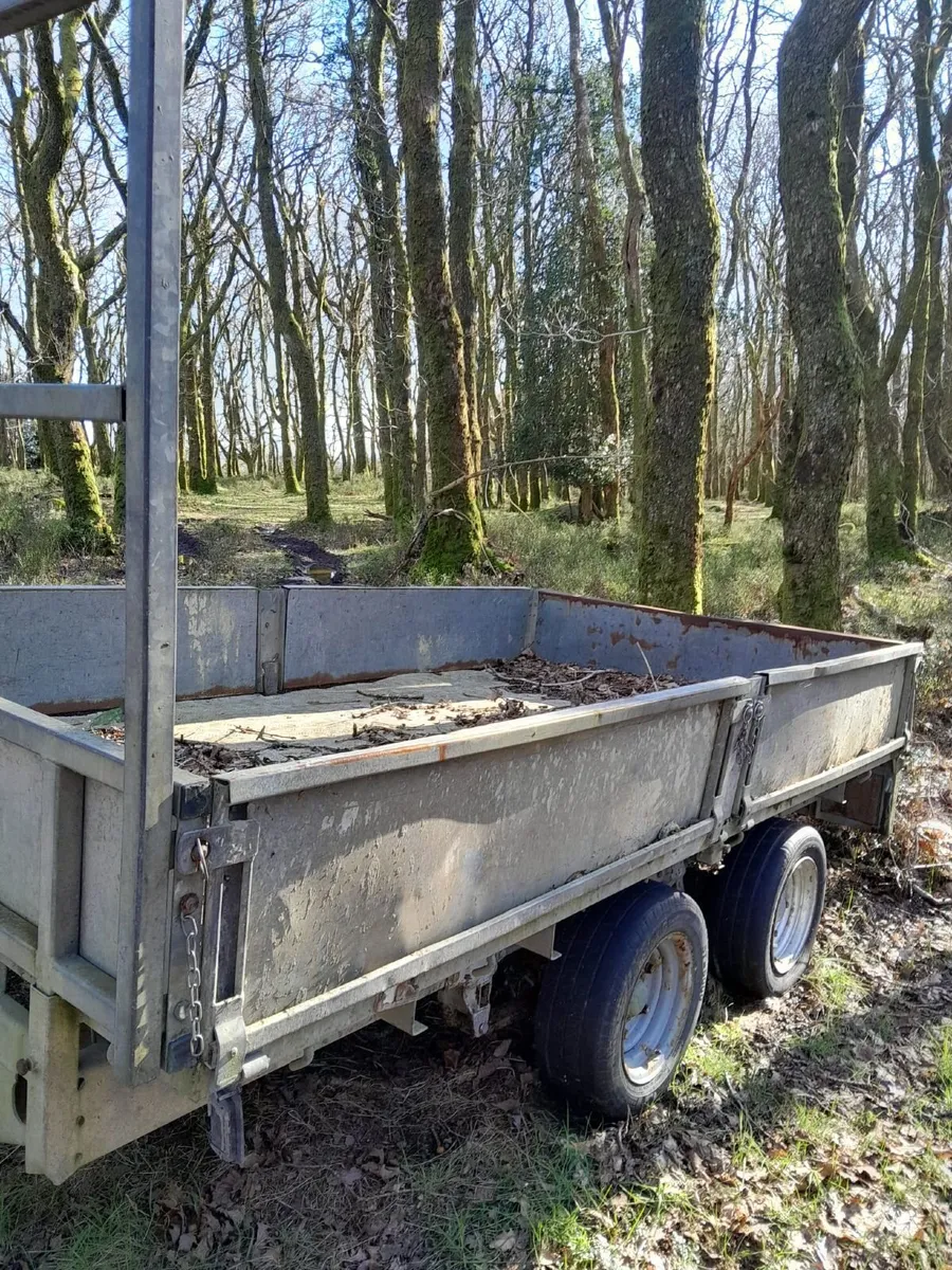 Trailer ifor williams - Image 4