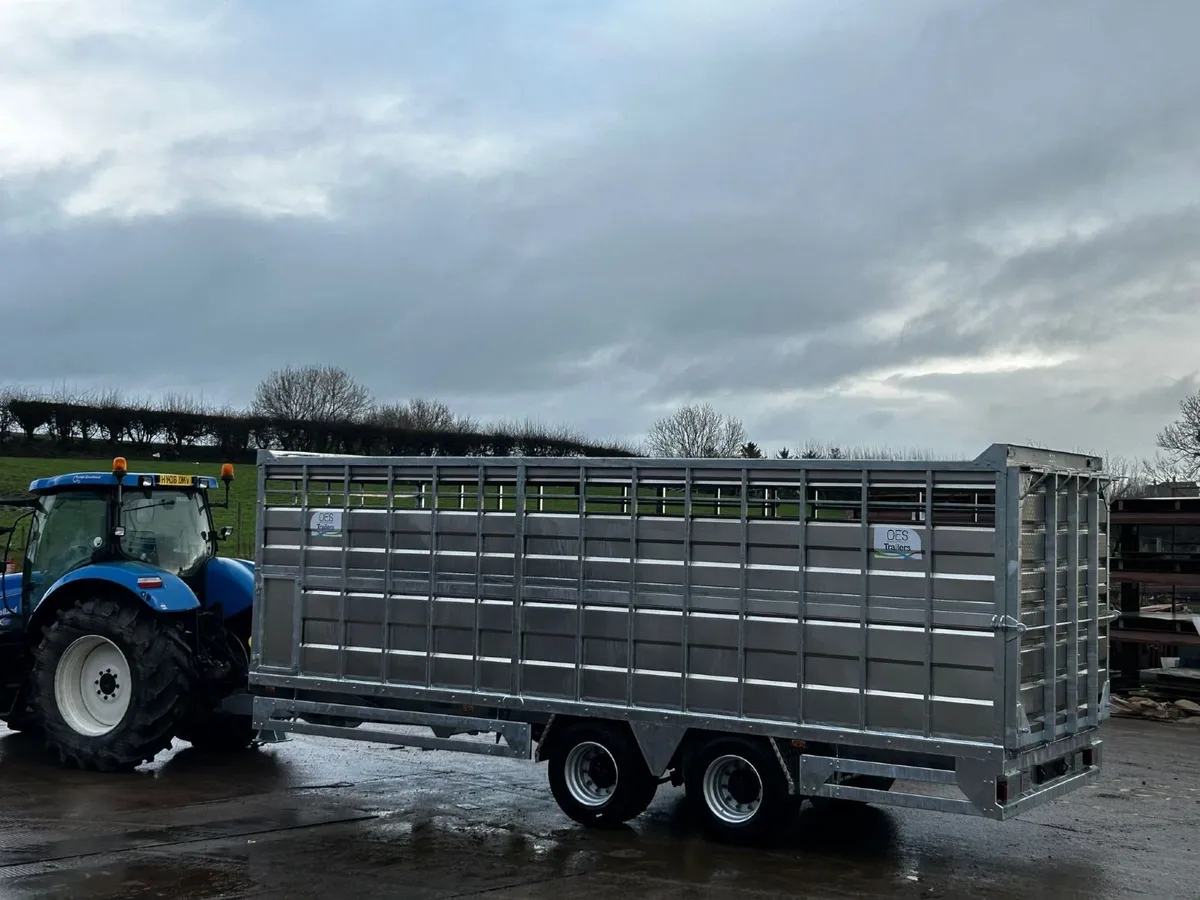 Galvanized Trailers - Image 4