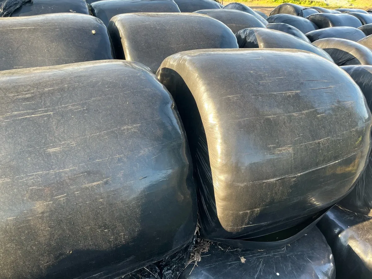Silage Bales
