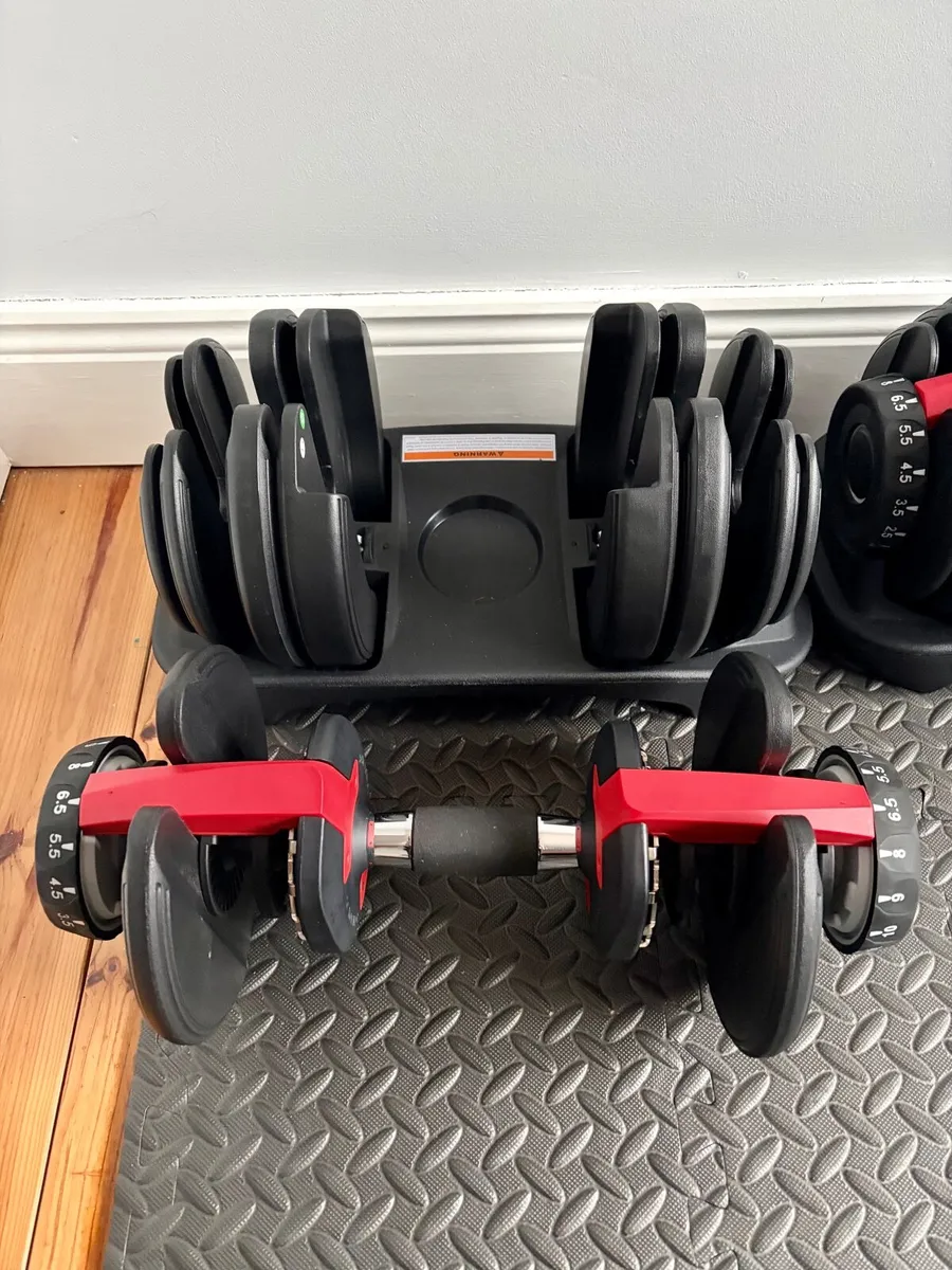 Adjustable Dumbbells 24kg V1 (Pair) - Image 2