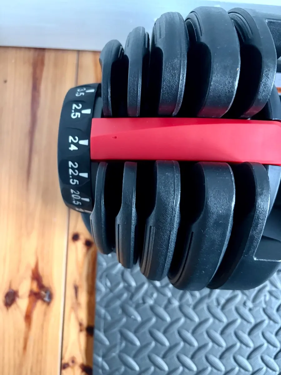 Adjustable Dumbbells 24kg V1 (Pair) - Image 1