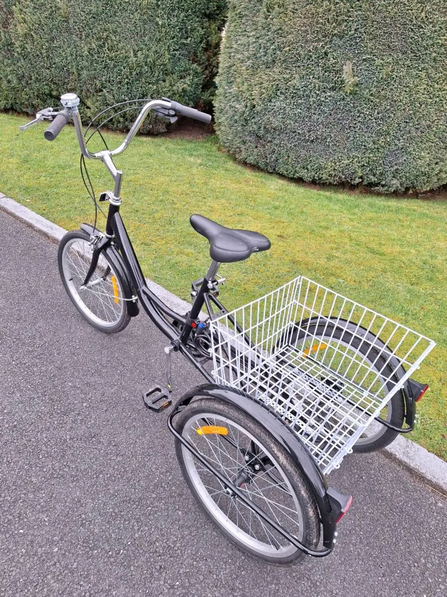 Adult tricycle - Image 1