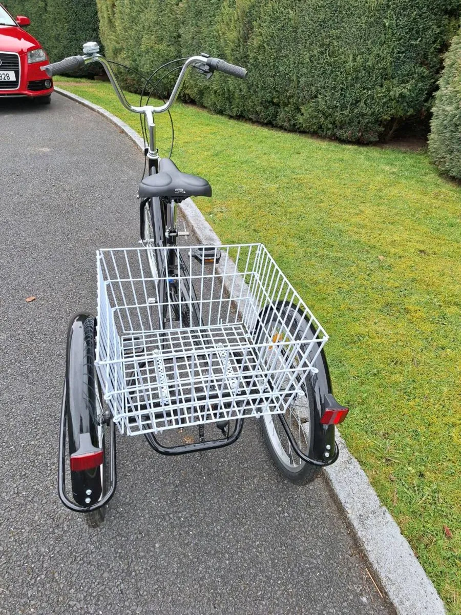 Adult tricycle - Image 2