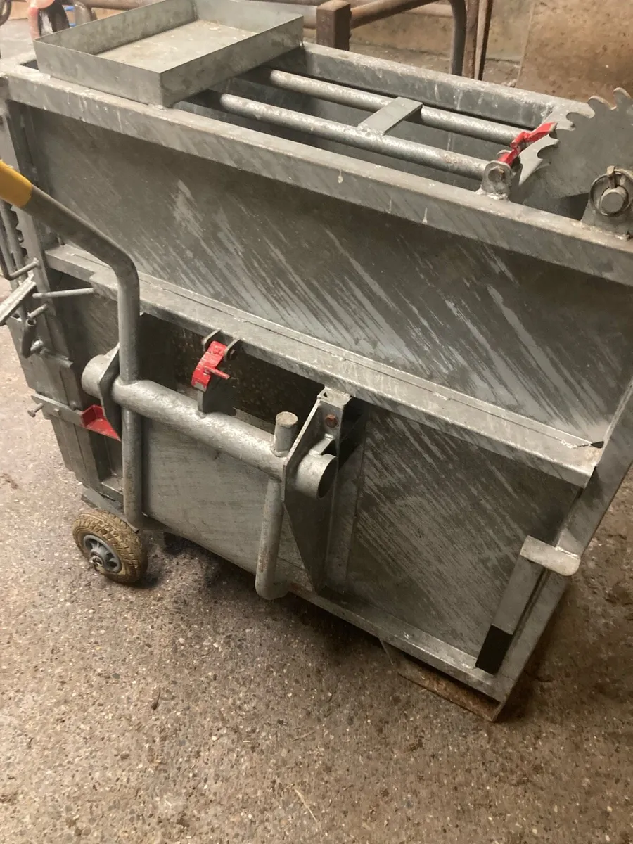 Heavy duty calf dehorning crate - Image 1