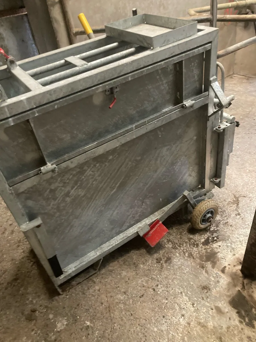 Heavy duty calf dehorning crate - Image 2