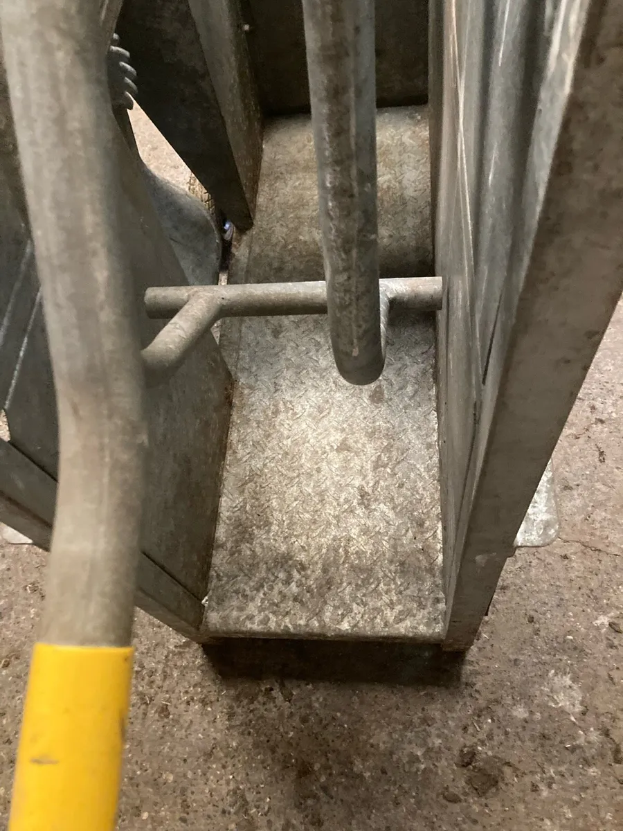 Heavy duty calf dehorning crate - Image 3