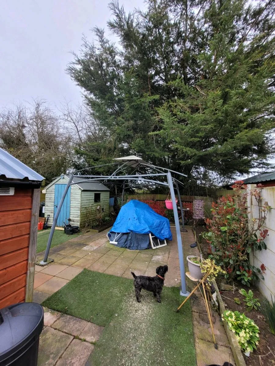 Gazebo frame - Image 1