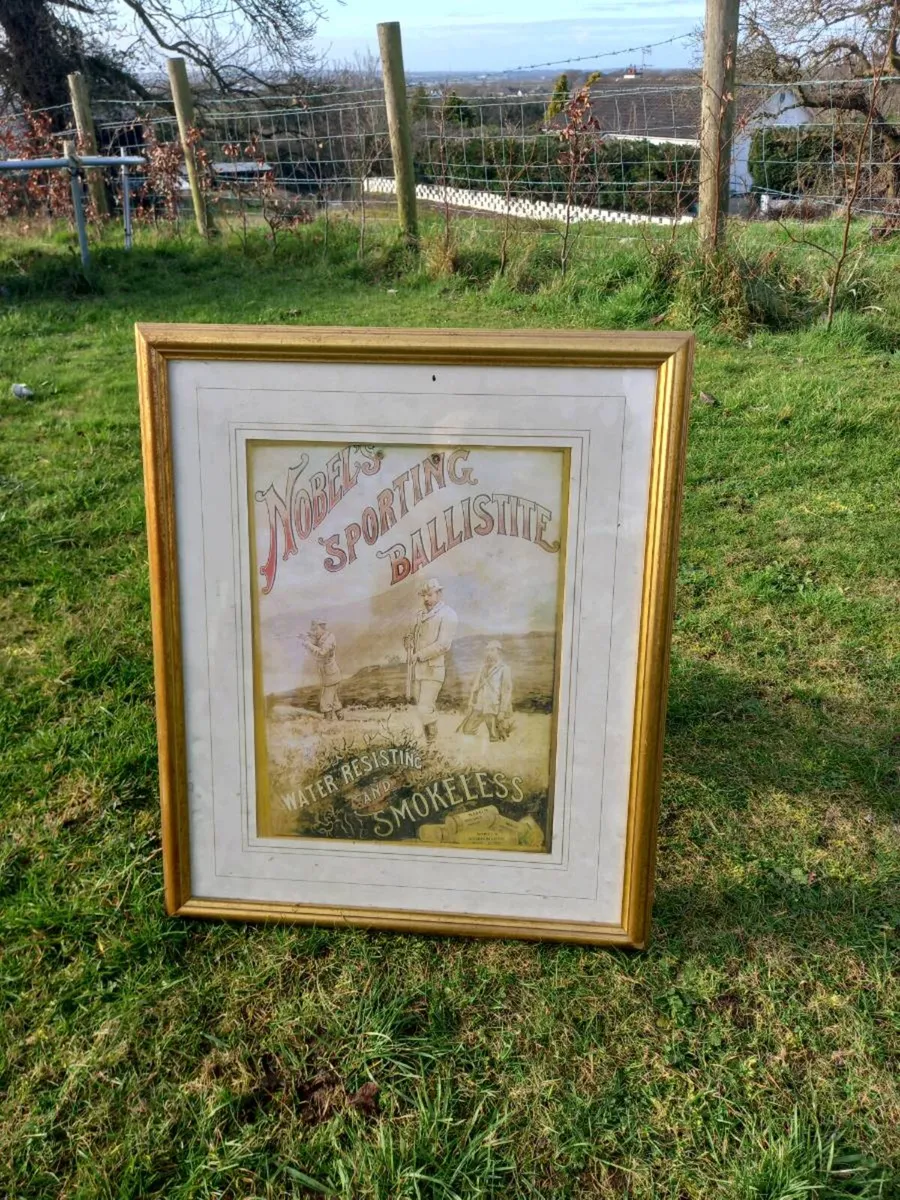 Nobels Sporting Advert - Image 1