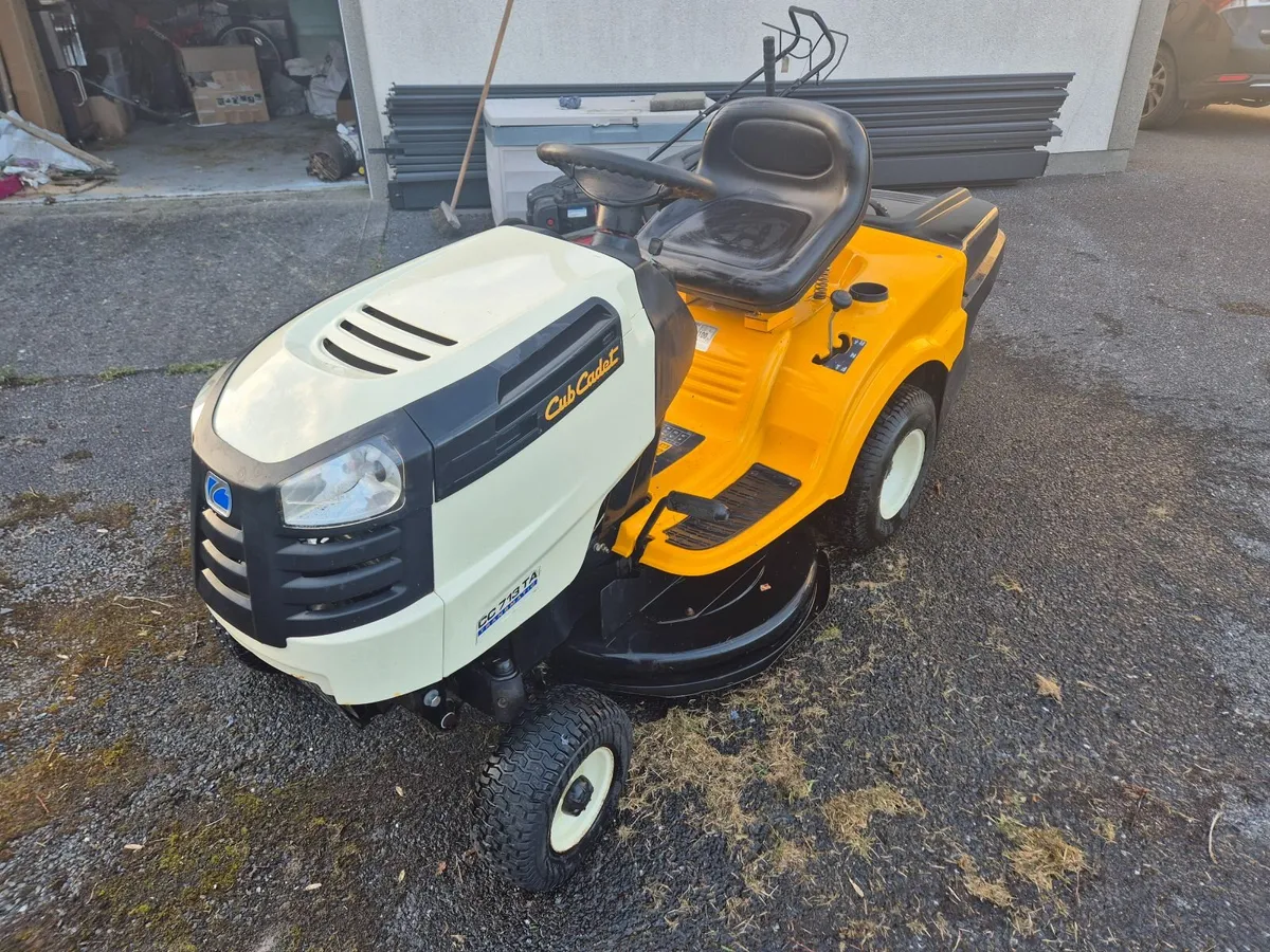 Ride on mower - Image 1