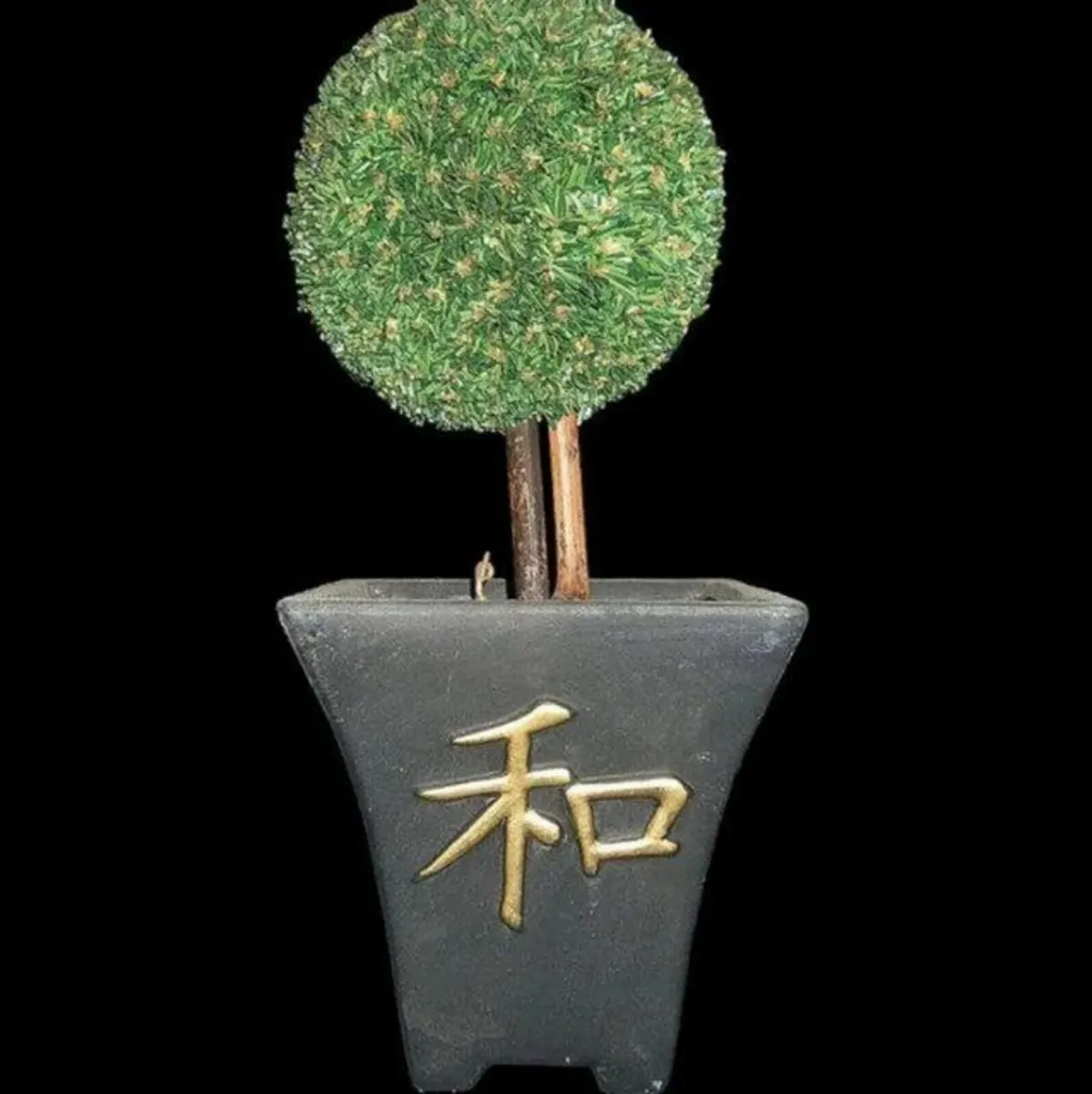 2 X Vintage Topiary Trees & Clay pots - Image 4