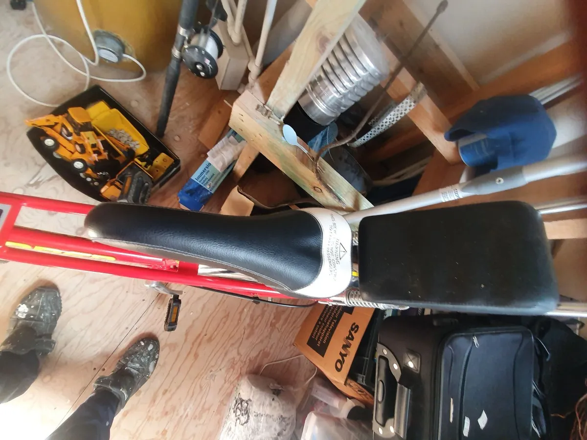 Raleigh chopper - Image 2