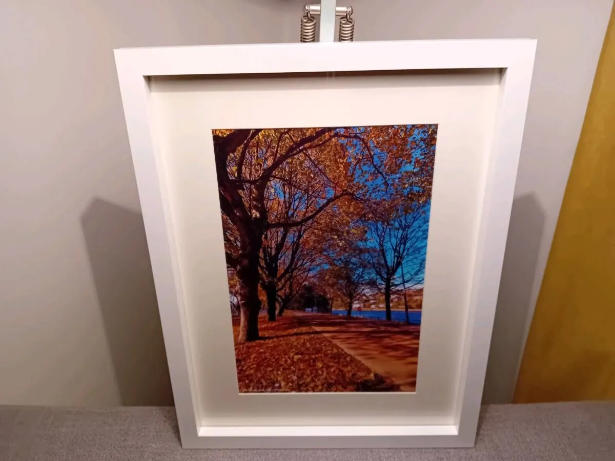 The Marina, Cork - Image 2