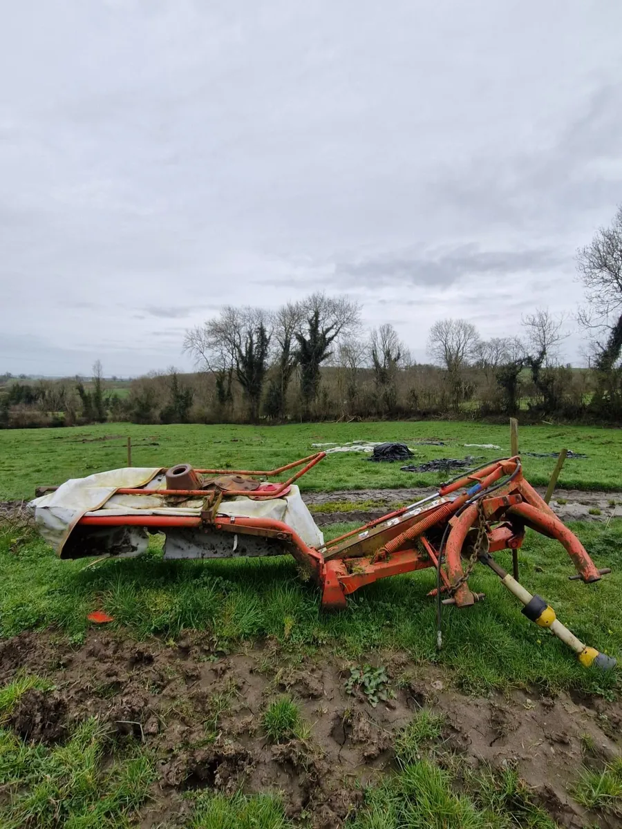 4 disc mower - Image 2