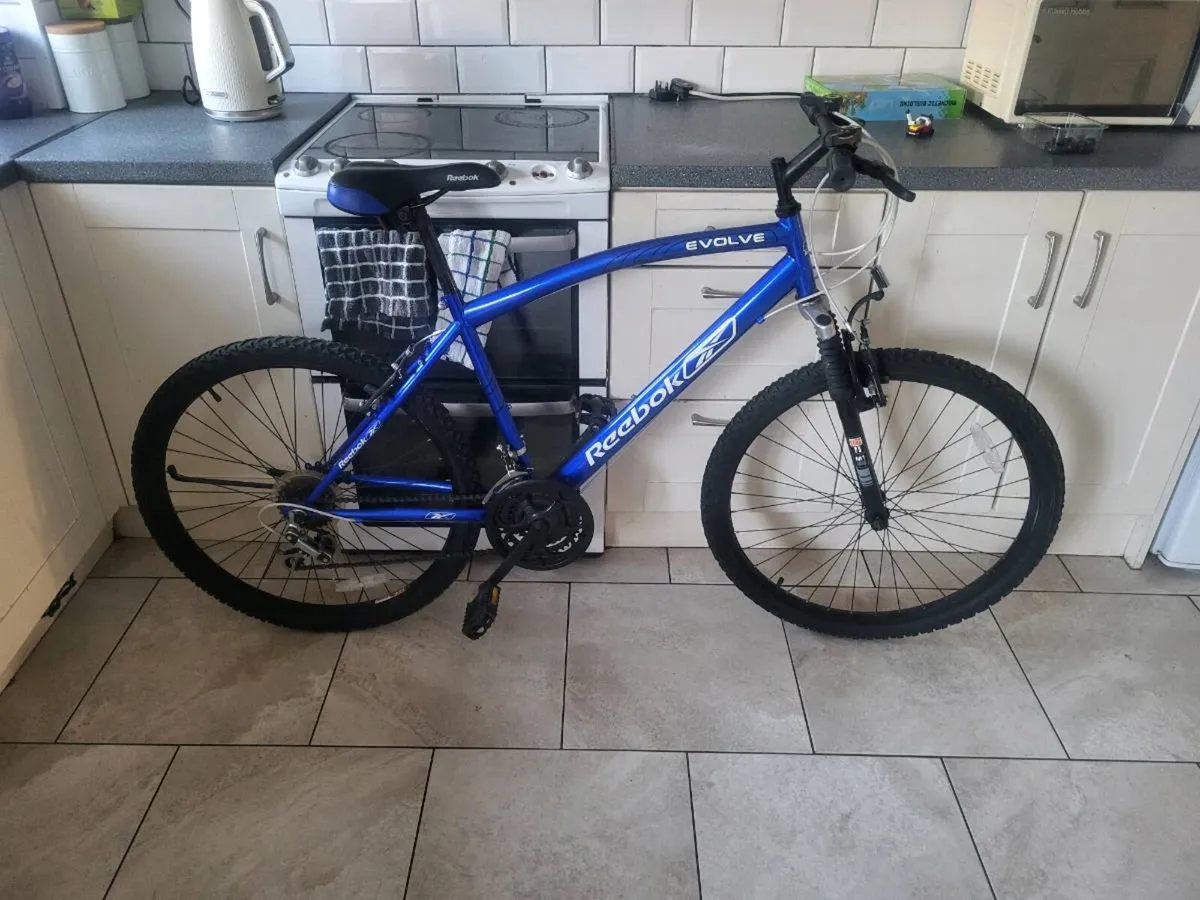 Mountain bike - Image 1