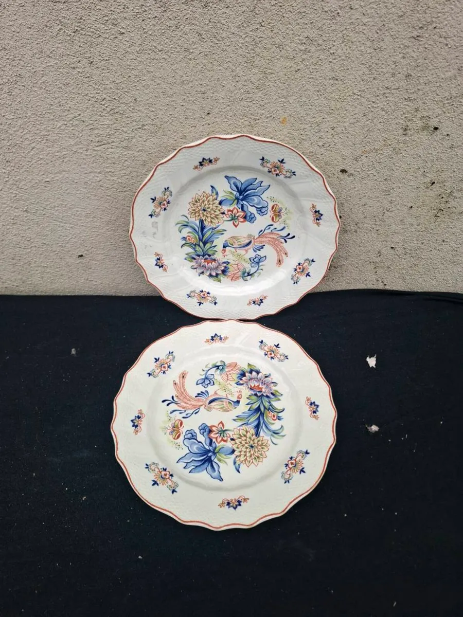 2 birds dinner plates