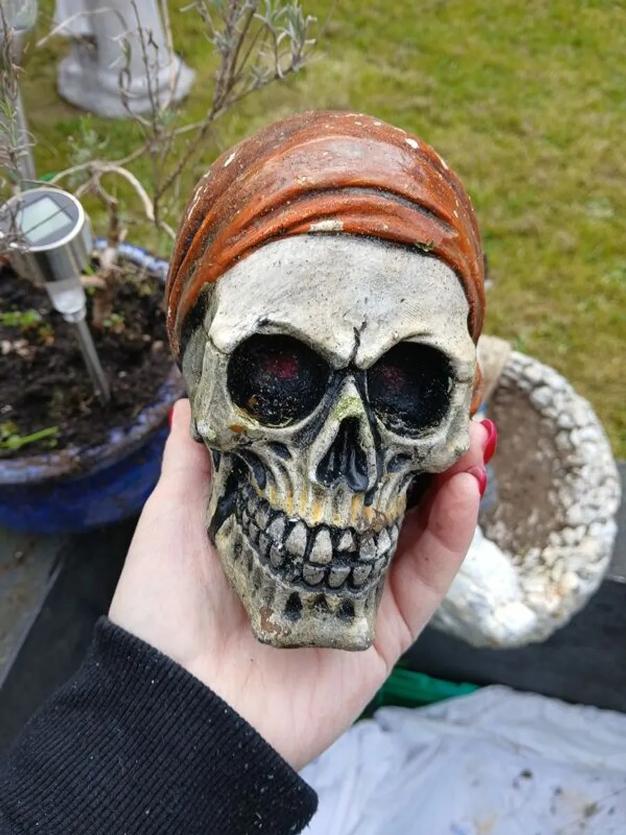 Collectables - Image 3