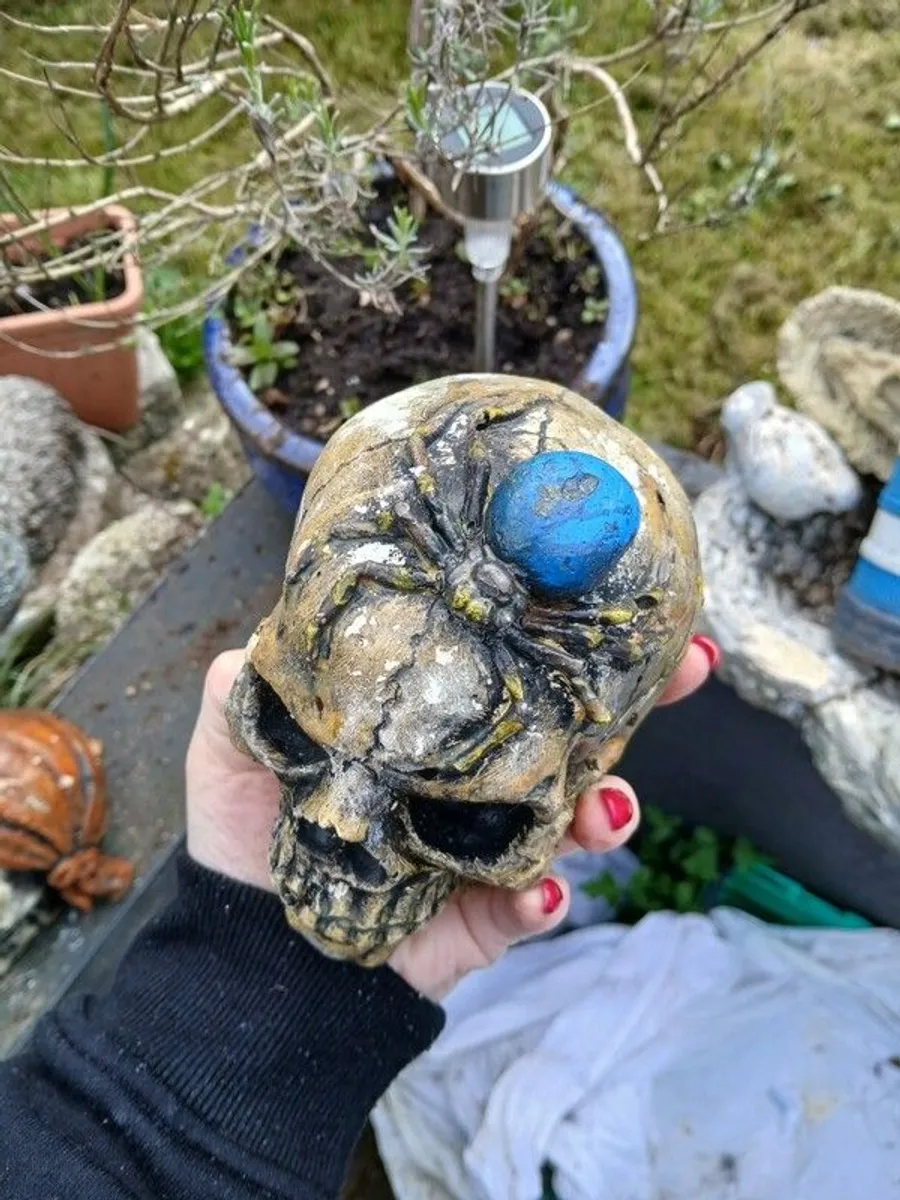 Collectables - Image 2