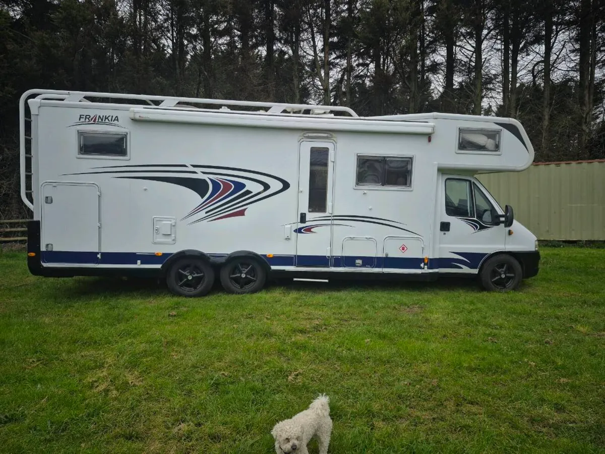 Frankia Camper - Image 1