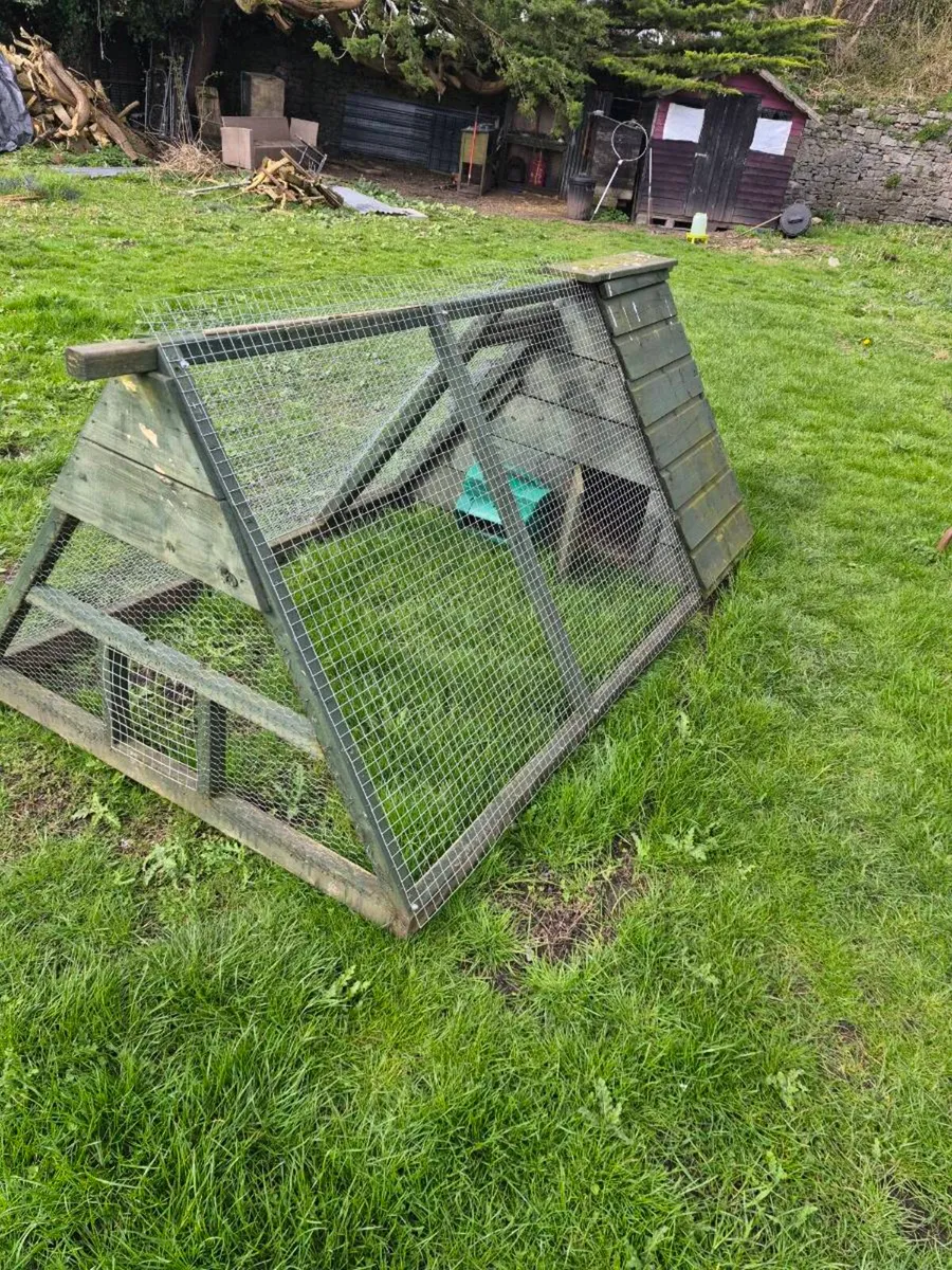 Chicken arcs - Image 2