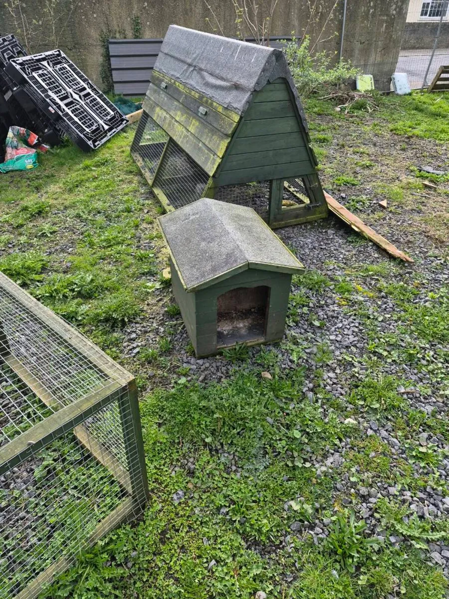 Chicken arcs - Image 3