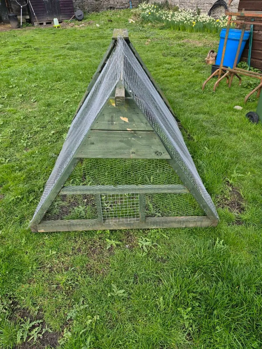 Chicken arcs - Image 4