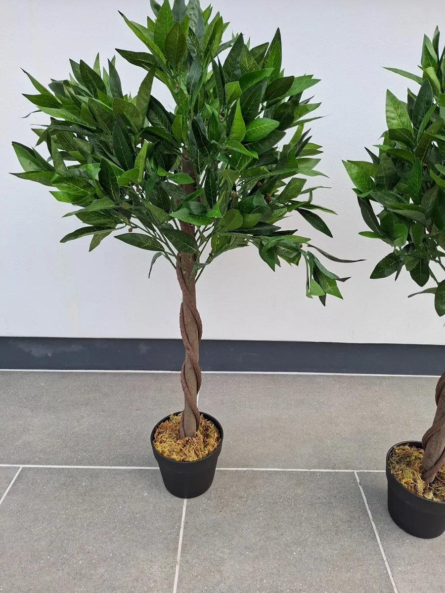 Artifical Bay Topiary Ball trees - Image 3