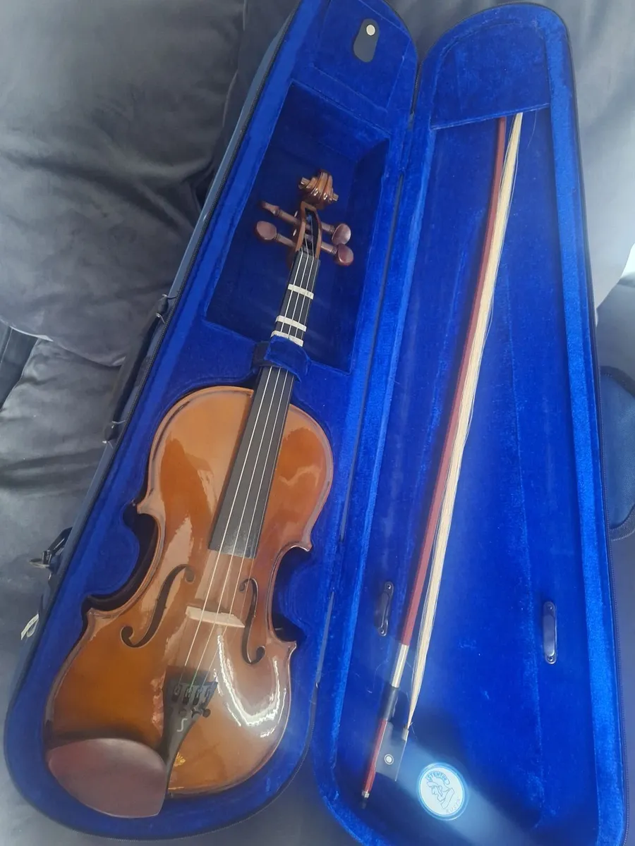Stentor Violin / Fidde & Case - Image 1