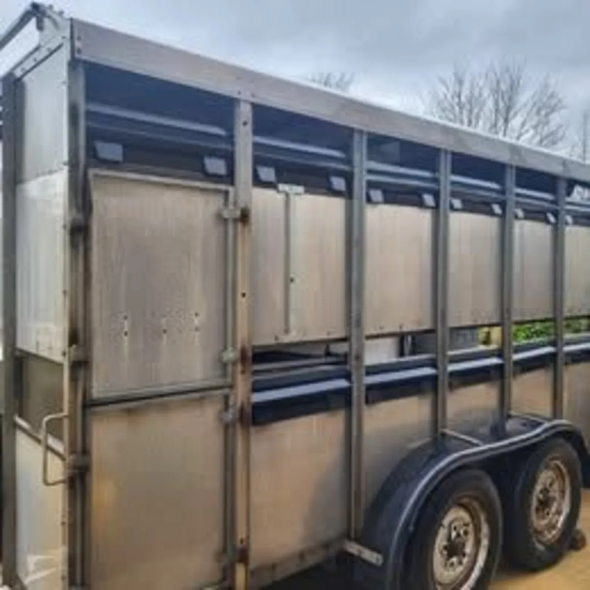 Bateson Sheep/Livestock Trailer - Image 3