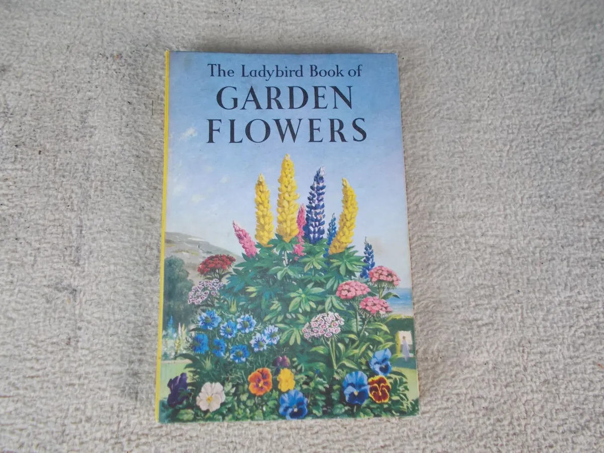 Rare Ladybird Book 1960 - Image 1