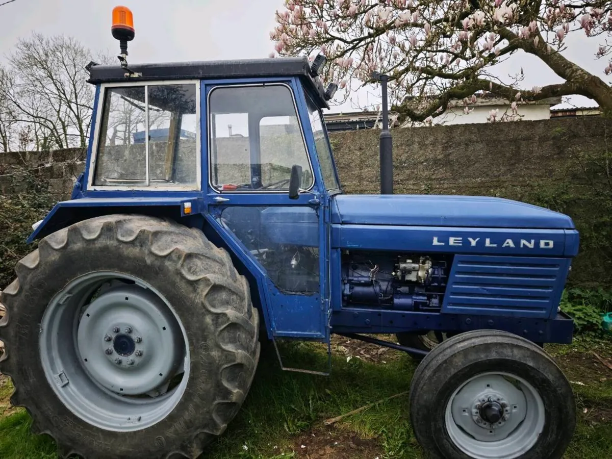 Leyland 384 - Image 1