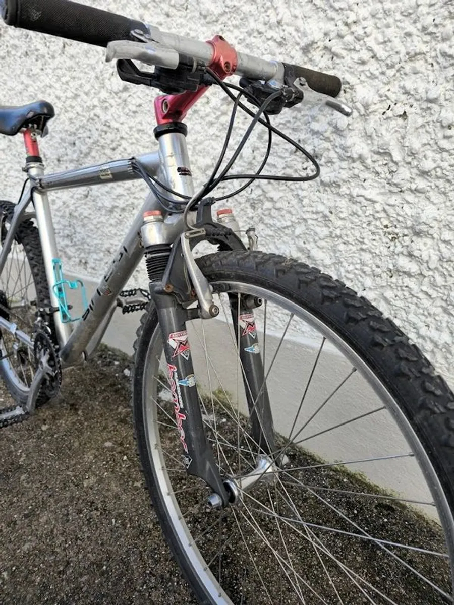 Retro Sintesi Thruster mountain bike - Image 2