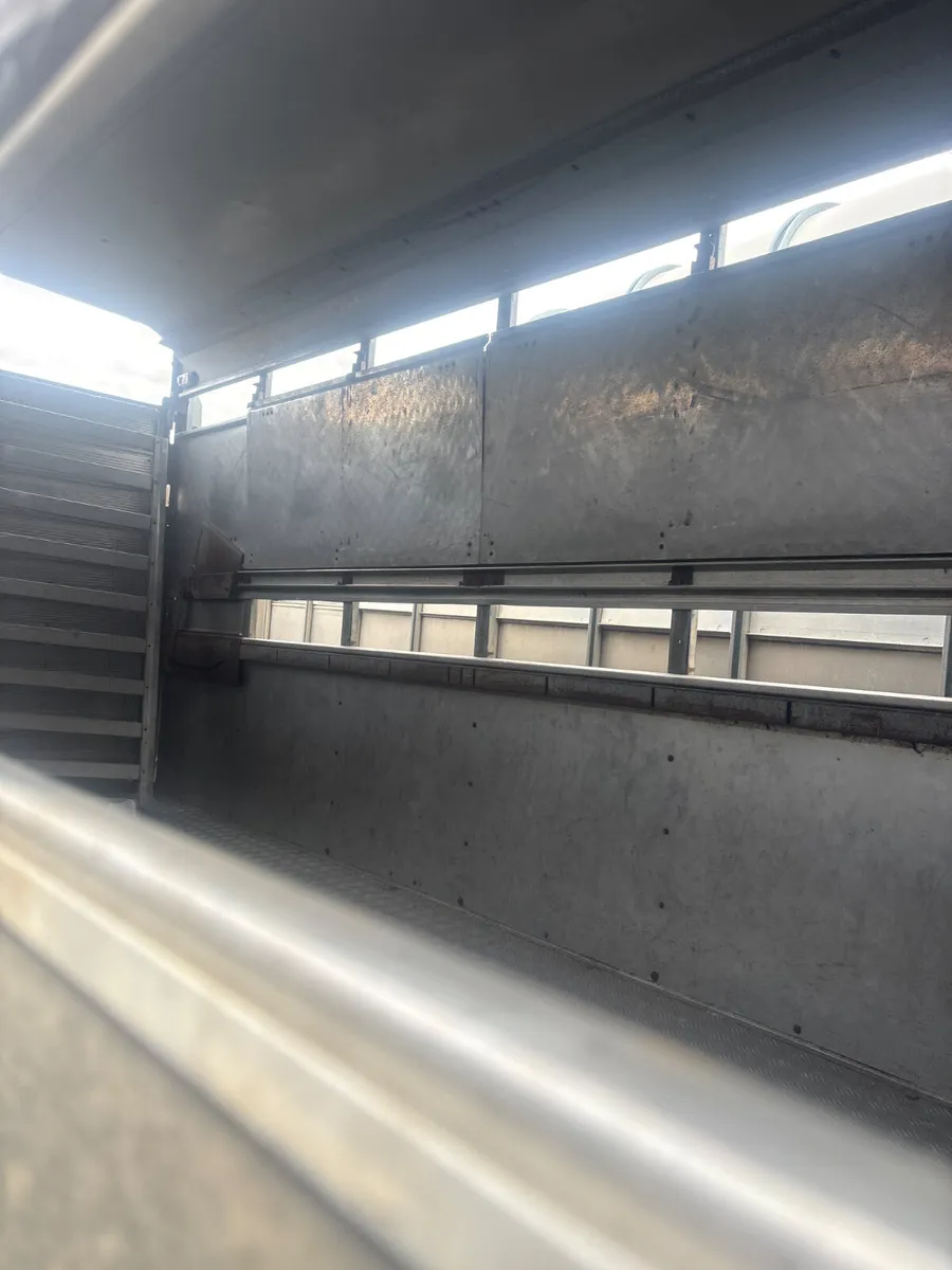 Ifor Williams 12x5 cattle trailer - Image 2