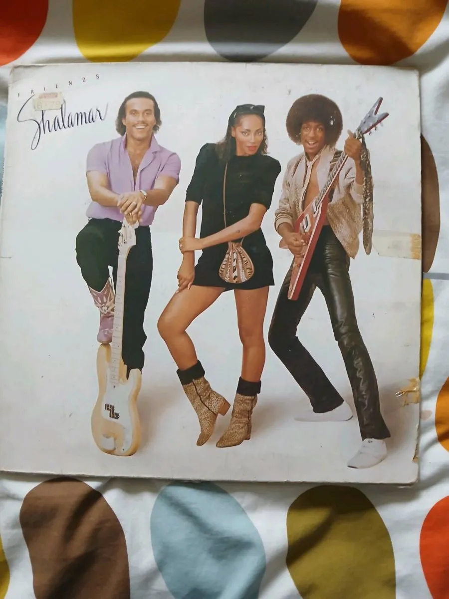 Vinyl albums - Image 1